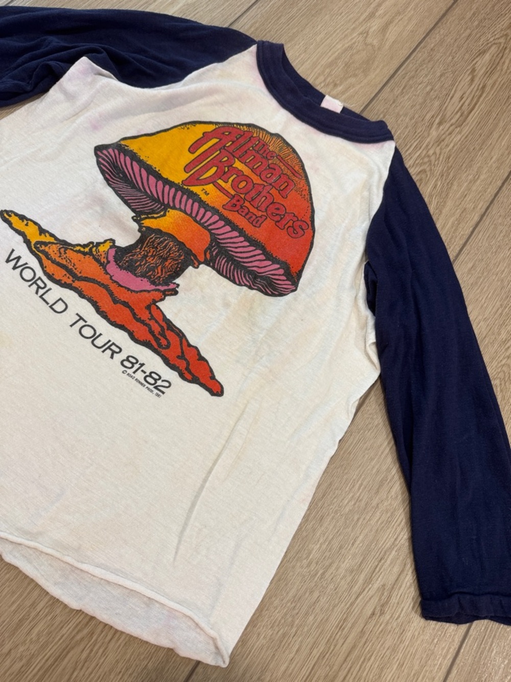 VTG ALLMAN BROTHERS WORLD TOUR 81-82 MUSHROOM CONCERT TEE TSHIRT SHIRT SZ M